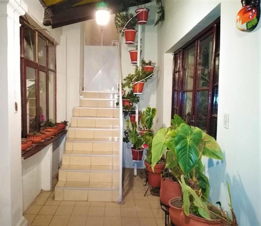 Hospedaje Ajayu סוקרה מראה חיצוני תמונה